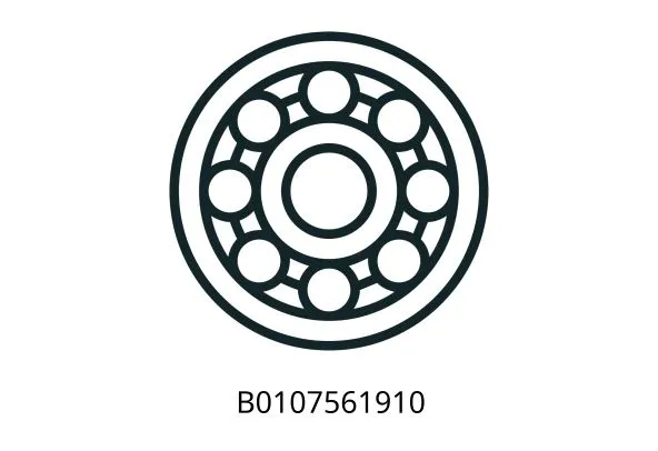 B0107561910 (20T)(25T) Deep groove ball bearings GB/T276