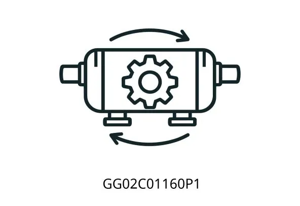 GG02C01160P1 COVER