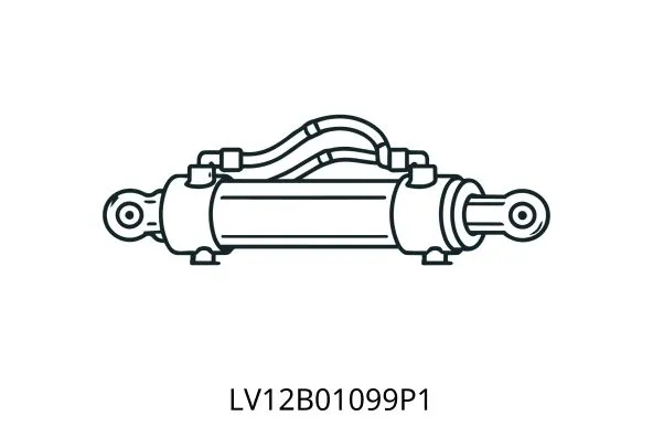 LV12B01099P1 SEAL, DUST