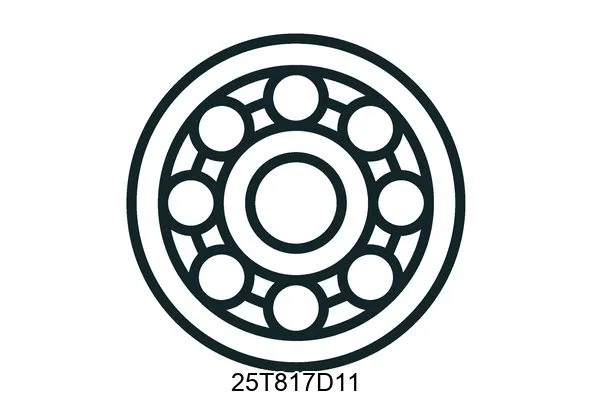 25T817D11 Bearings
