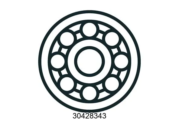 30428343 Bearings