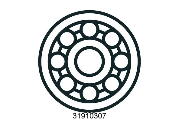 31910307 Bearings