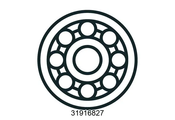 31916827 Bearings