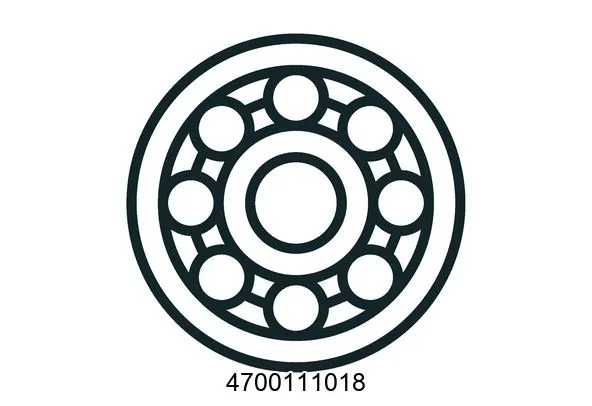 4700111018 Bearings