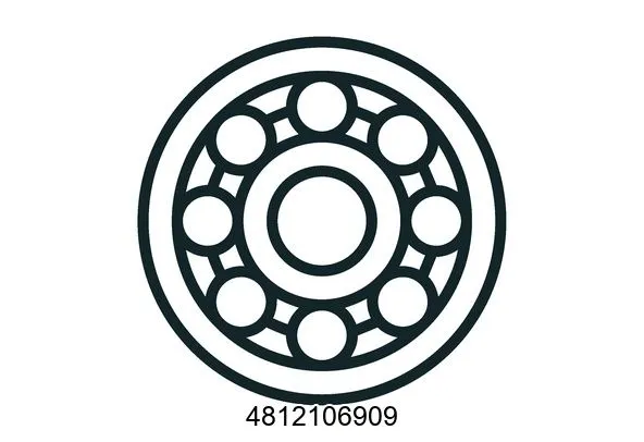 4812106909 Bearings