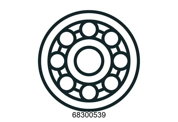 68300539 Bearings