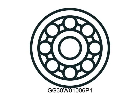 GG30W01006P1 Bearings