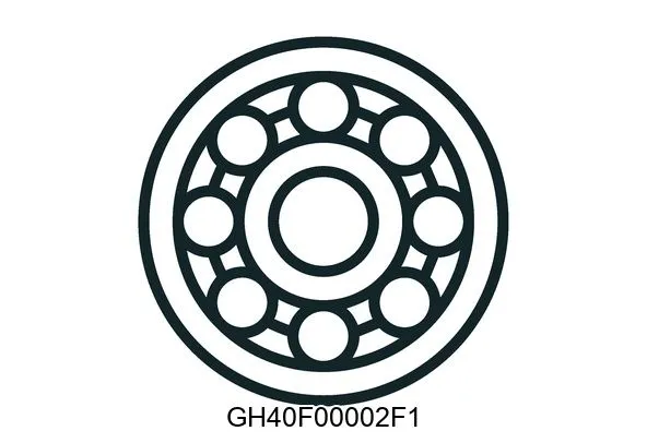 GH40F00002F1 Bearings