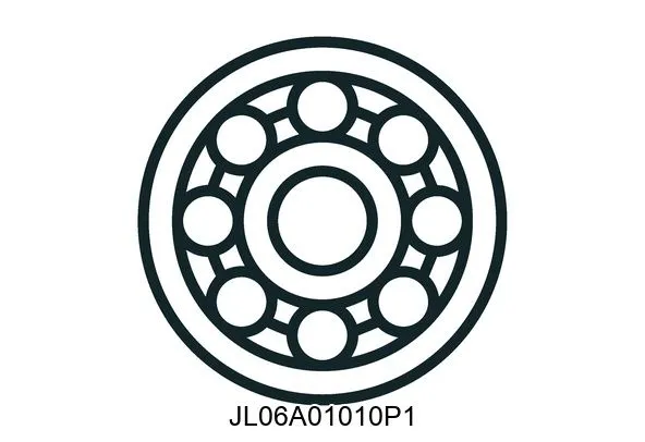 JL06A01010P1 Bearings
