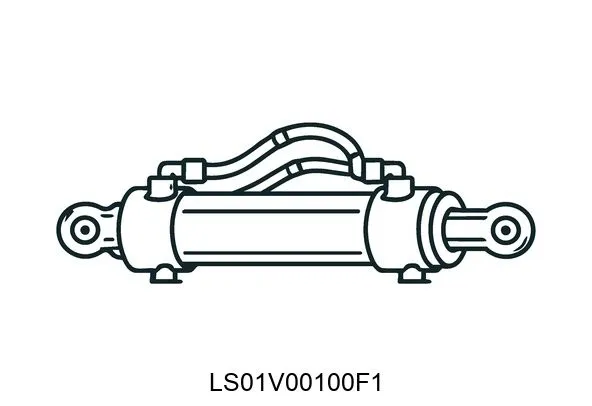 LS01V00100F1 Hydraulic Cylinders