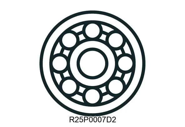 R25P0007D2 Bearings