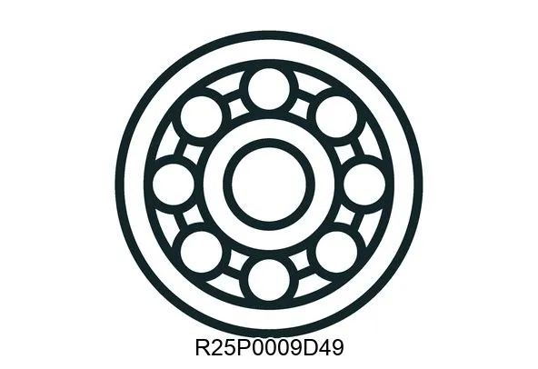R25P0009D49 Bearings