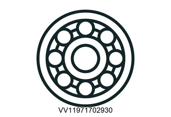 VV11971702930 Bearings