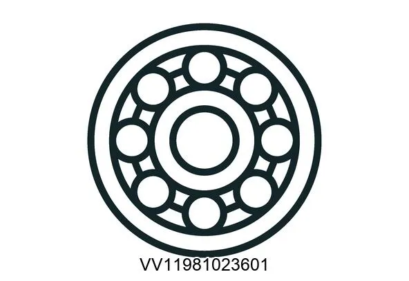 VV11981023601 Bearings