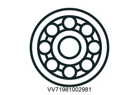 VV71981002981 Bearings