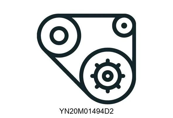 YN20M01494D2 Belts