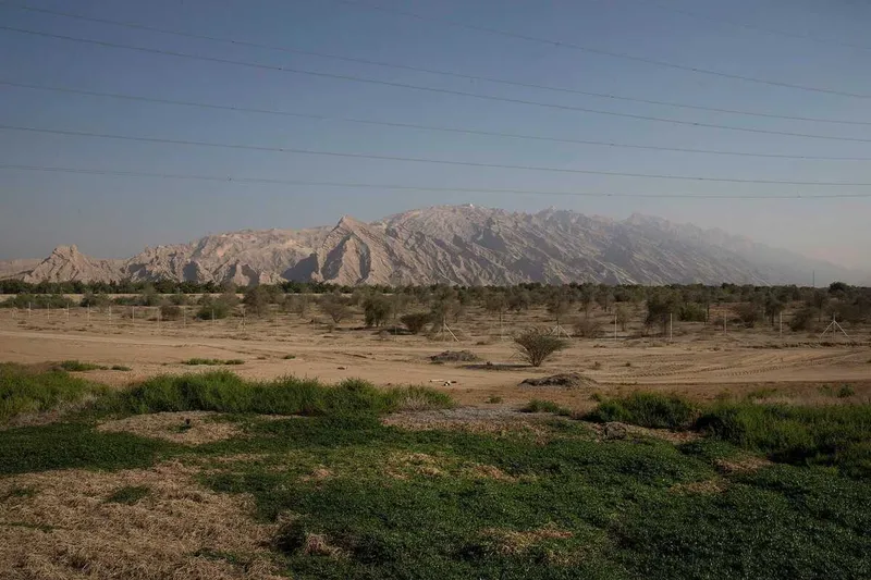 A closer look at the UAE terrain - Image courtesy of The National