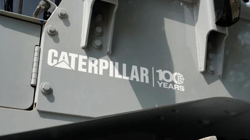 100 years - cat anniversery
