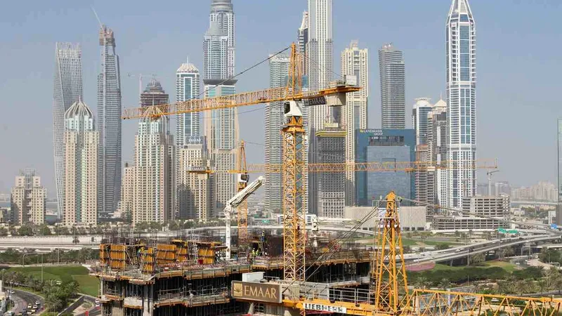 Three Liebherr cranes