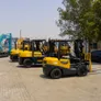Al Marwan forklift fleet at the yard. 