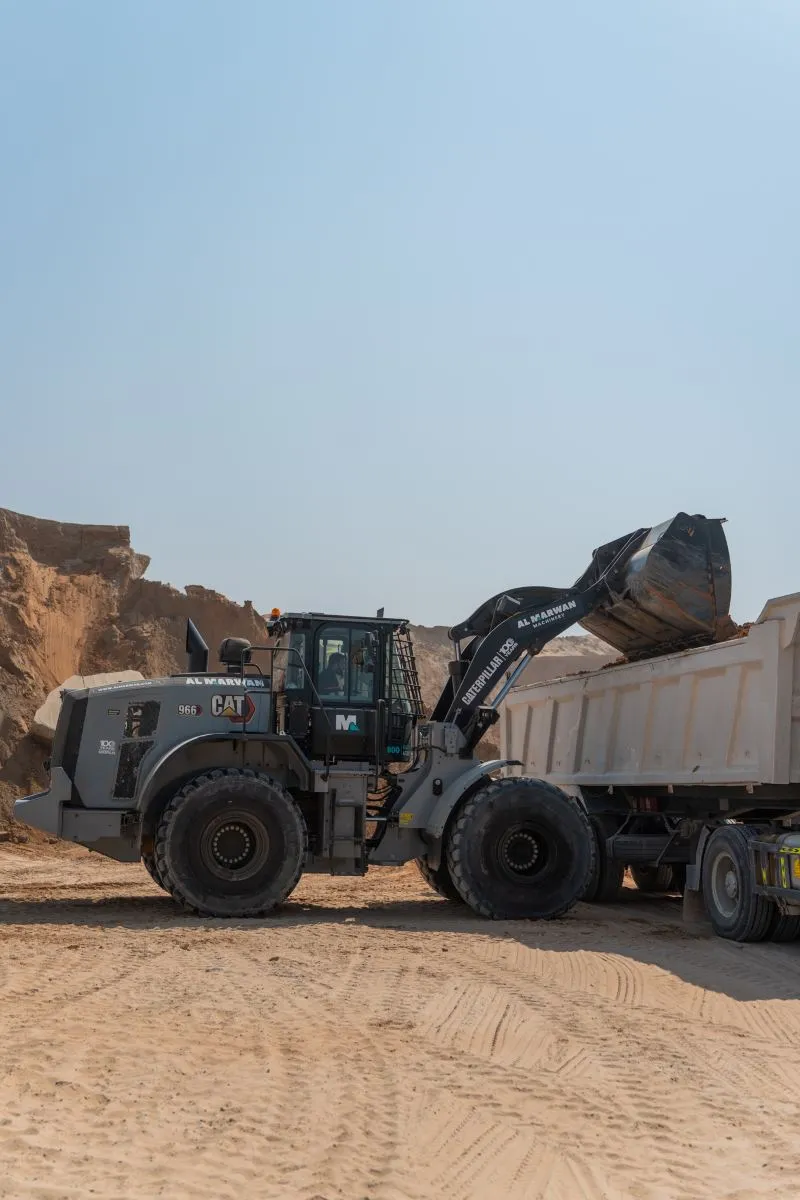 grey cat loader