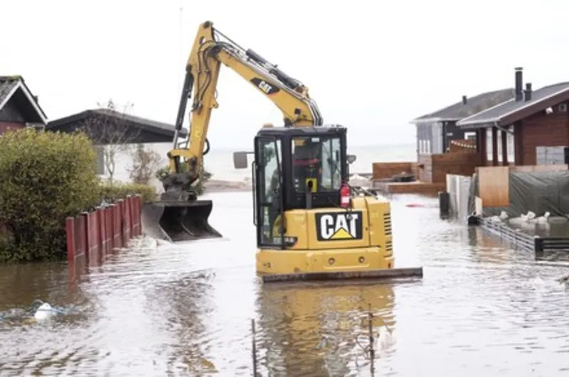 Cat mini excavator